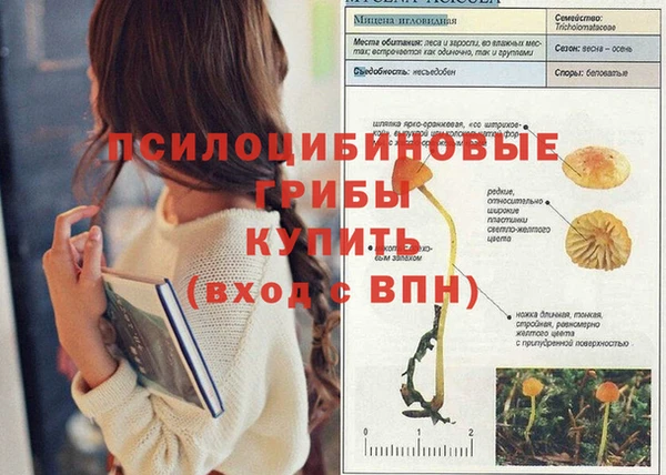 прущий лед Алзамай