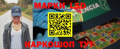 дмт Кандалакша