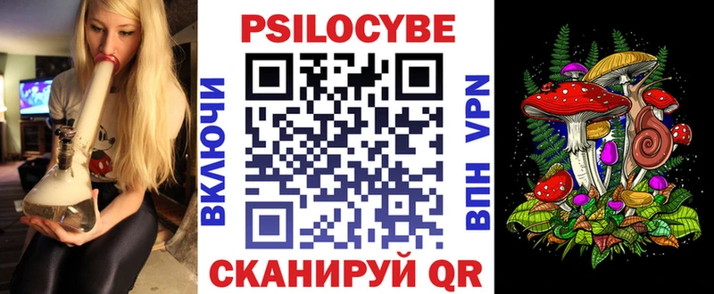 где можно купить   Кыштым  Галлюциногенные грибы Psilocybine cubensis 
