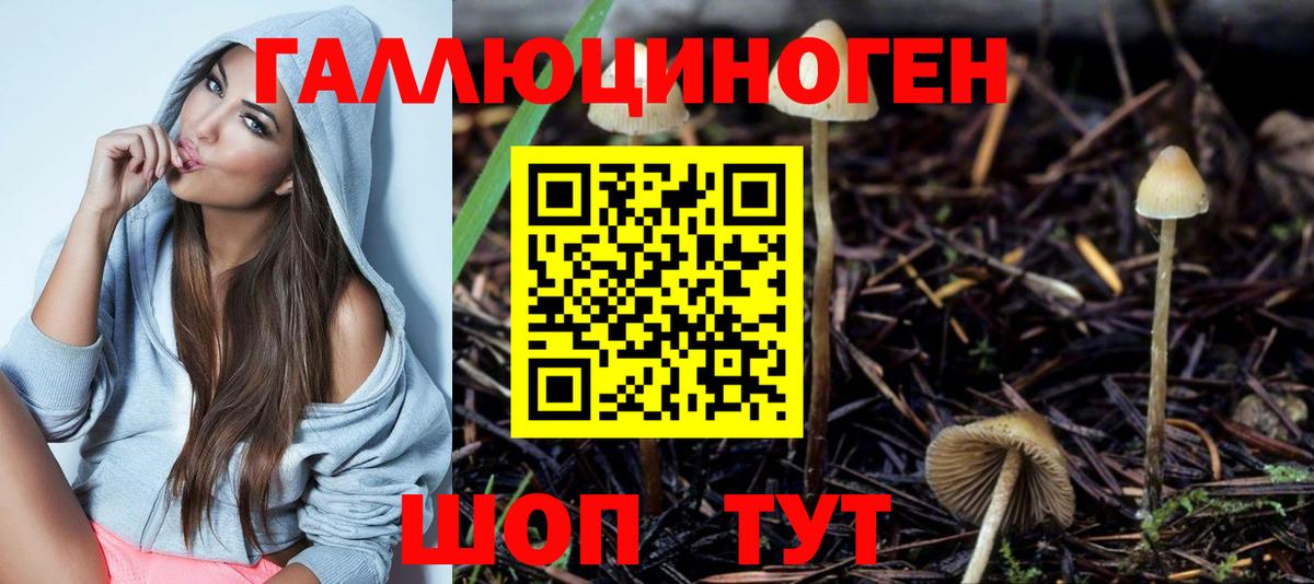 Псилоцибиновые грибы прущие грибы Кыштым